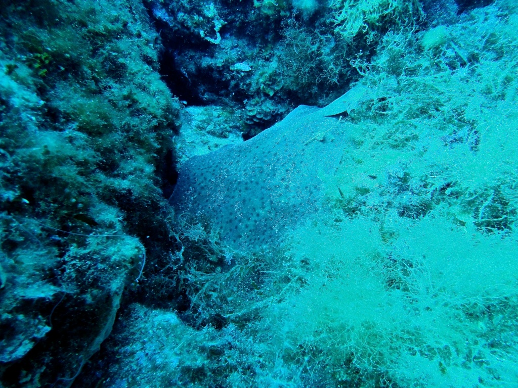 DSC04812